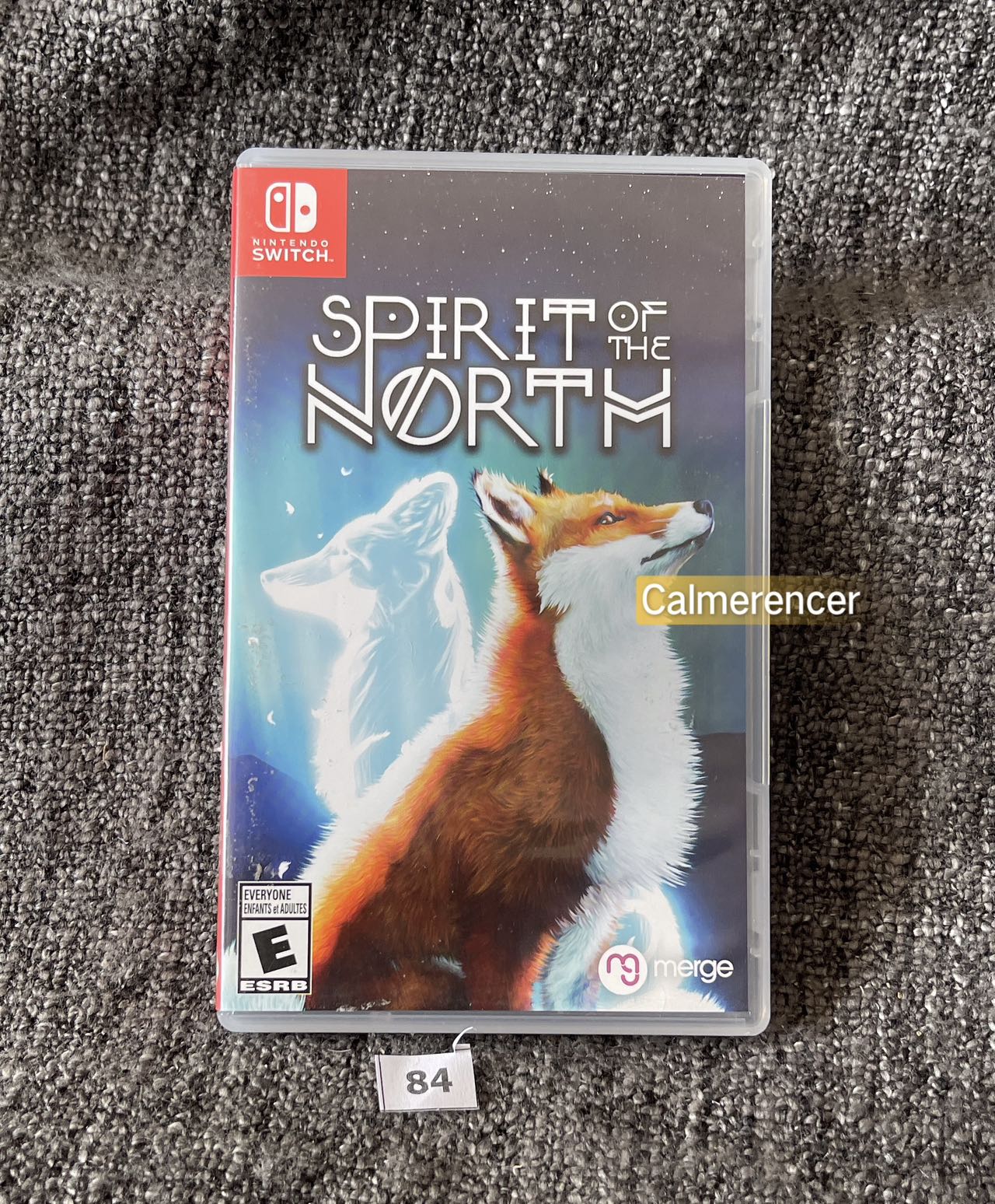 Spirit Of The North Game - Nintendo Switch